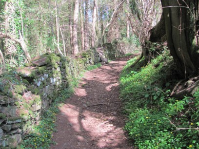 Shaded path on the way up to the site of the old hill fort