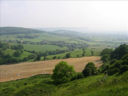 View from Haresfield Beacon